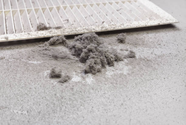 Best HVAC Air Duct Cleaning  in Sumas, WA